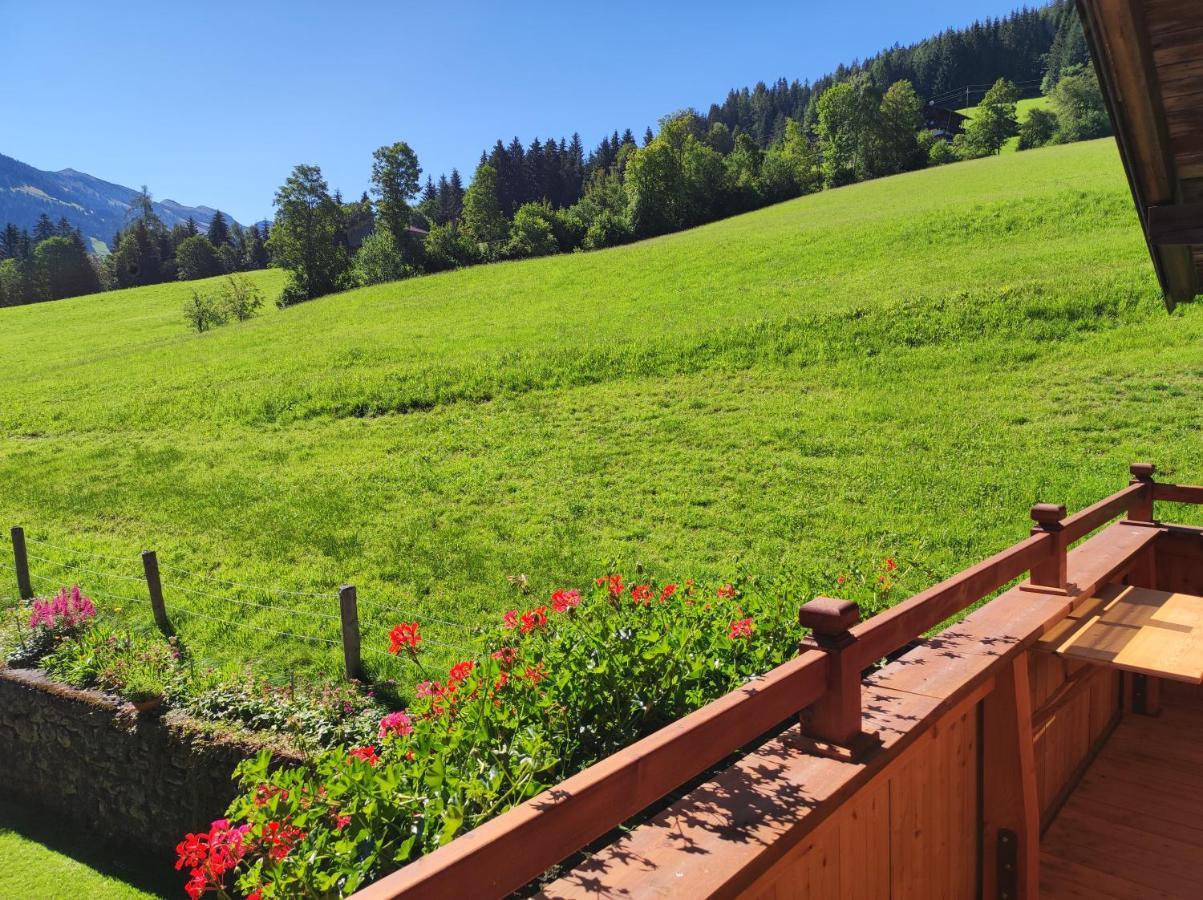 Ferienwohnungen Schneiderhaeusl Alpbach Exteriér fotografie